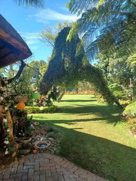 The lawn and the path