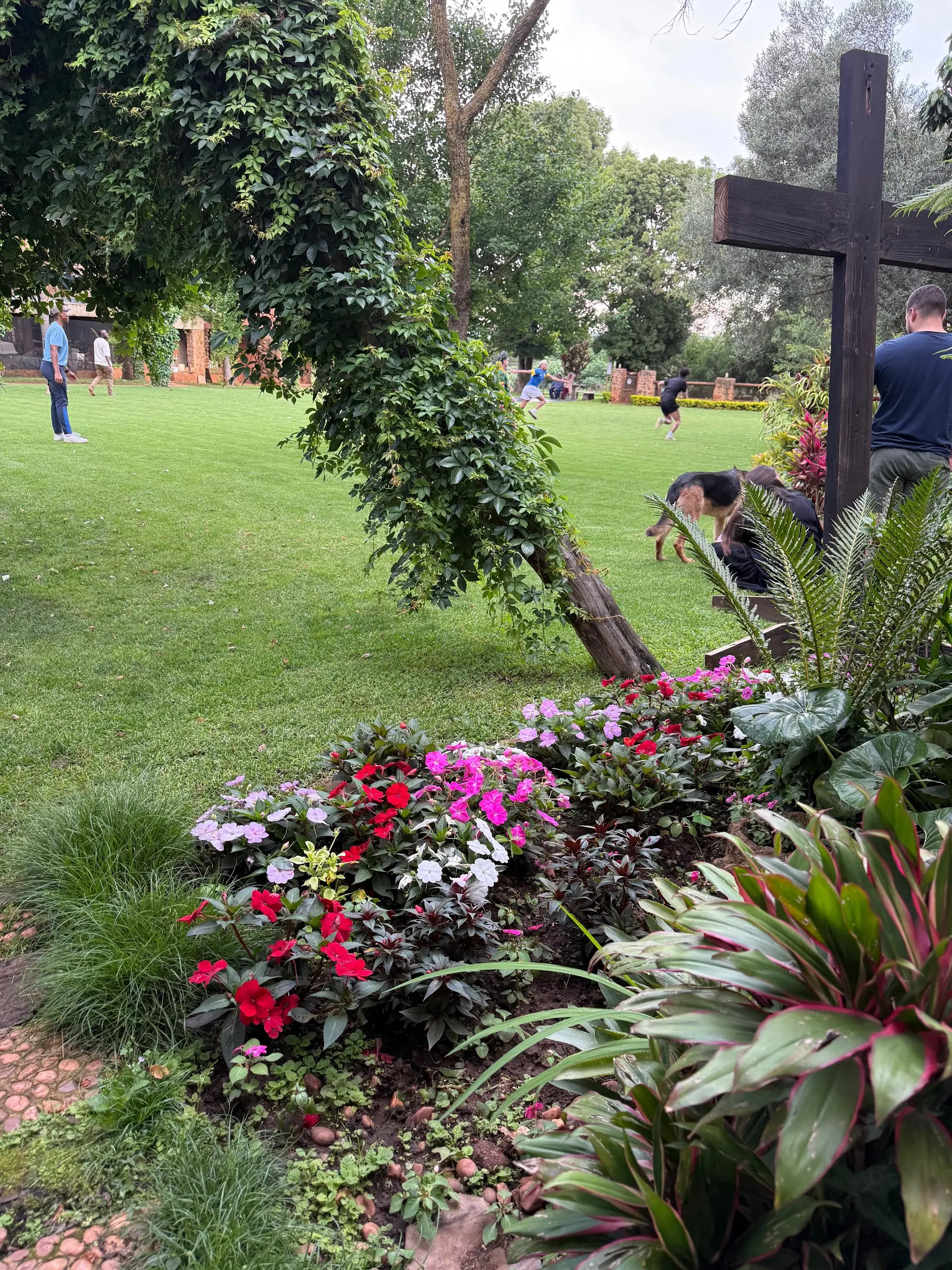 A garden path between the flower beds