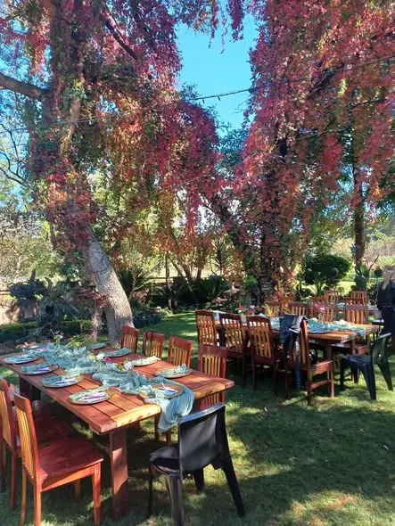 Tables under the bougainvillea